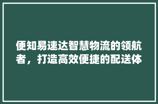 便知易速达智慧物流的领航者，打造高效便捷的配送体系_关键词优化好便知易速达  第1张