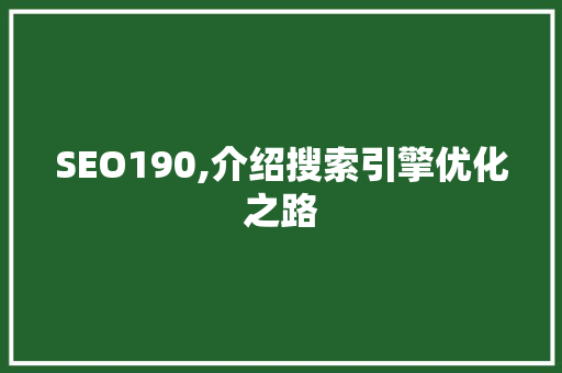 SEO190,介绍搜索引擎优化之路