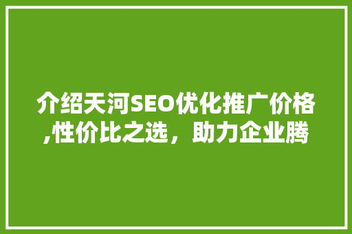 介绍天河SEO优化推广价格,性价比之选，助力企业腾飞