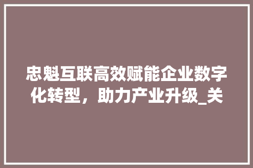 忠魁互联高效赋能企业数字化转型，助力产业升级_关键词优化忠魁互联高效