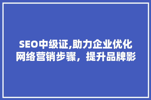 SEO中级证,助力企业优化网络营销步骤，提升品牌影响力
