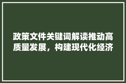 政策文件关键词解读推动高质量发展，构建现代化经济体系_政策文件关键词优化