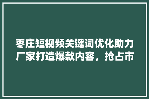 枣庄短视频关键词优化助力厂家打造爆款内容，抢占市场先机_枣庄短视频关键词优化厂家