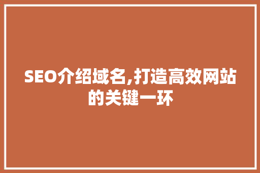 SEO介绍域名,打造高效网站的关键一环