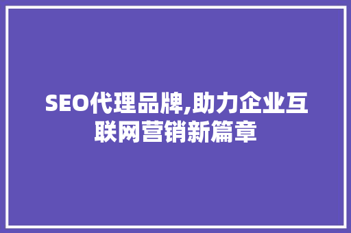 SEO代理品牌,助力企业互联网营销新篇章