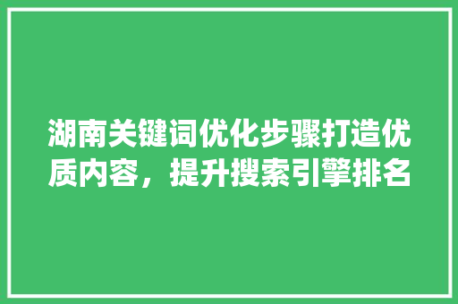 湖南关键词优化步骤打造优质内容，提升搜索引擎排名_湖南关键词优化怎么提高