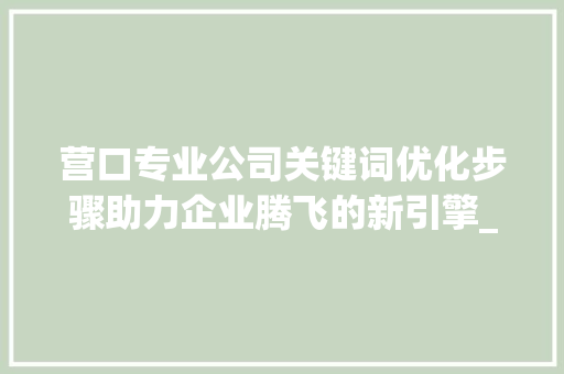 营口专业公司关键词优化步骤助力企业腾飞的新引擎_营口关键词优化专业公司