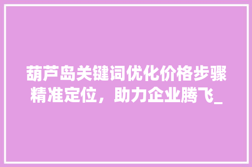 葫芦岛关键词优化价格步骤精准定位，助力企业腾飞_葫芦岛关键词优化价格
