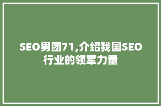 SEO男团71,介绍我国SEO行业的领军力量