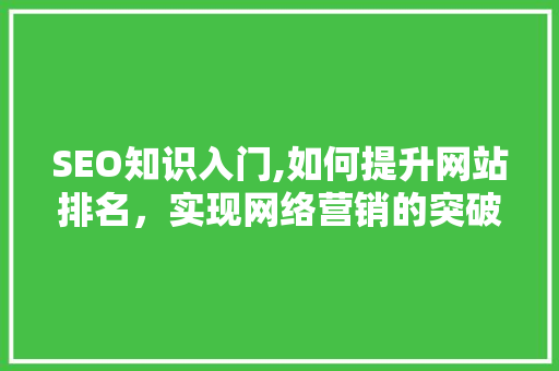 SEO知识入门,如何提升网站排名，实现网络营销的突破