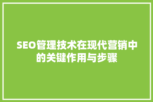 SEO管理技术在现代营销中的关键作用与步骤