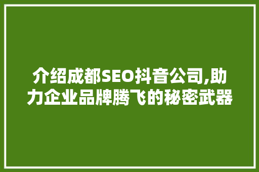 介绍成都SEO抖音公司,助力企业品牌腾飞的秘密武器