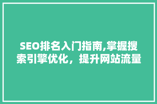 SEO排名入门指南,掌握搜索引擎优化，提升网站流量