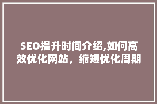 SEO提升时间介绍,如何高效优化网站，缩短优化周期