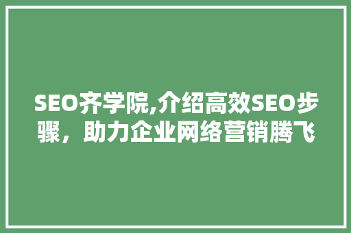 SEO齐学院,介绍高效SEO步骤，助力企业网络营销腾飞