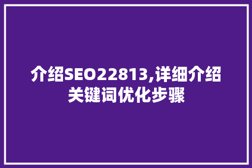 介绍SEO22813,详细介绍关键词优化步骤  第1张