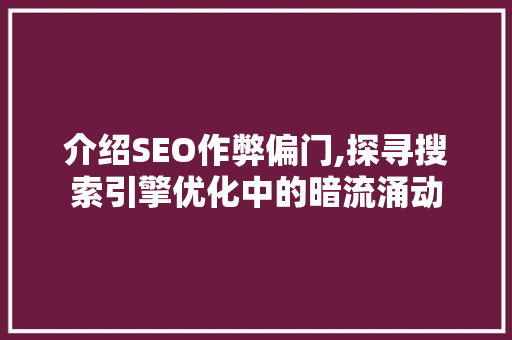介绍SEO作弊偏门,探寻搜索引擎优化中的暗流涌动  第1张