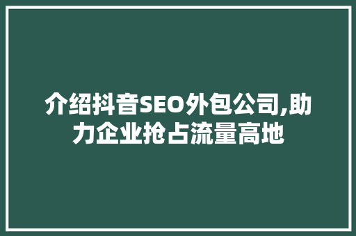 介绍抖音SEO外包公司,助力企业抢占流量高地  第1张