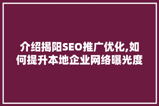 介绍揭阳SEO推广优化,如何提升本地企业网络曝光度
