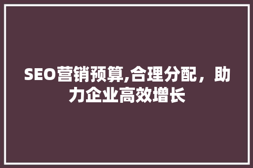 SEO营销预算,合理分配，助力企业高效增长