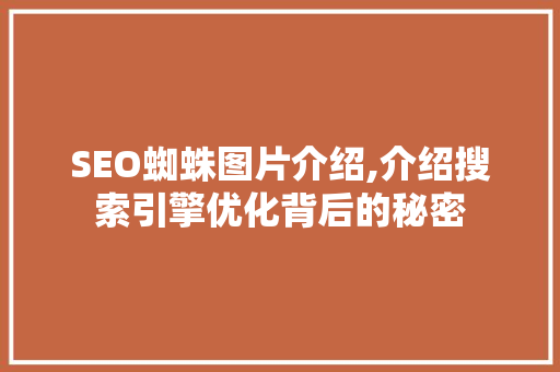 SEO蜘蛛图片介绍,介绍搜索引擎优化背后的秘密