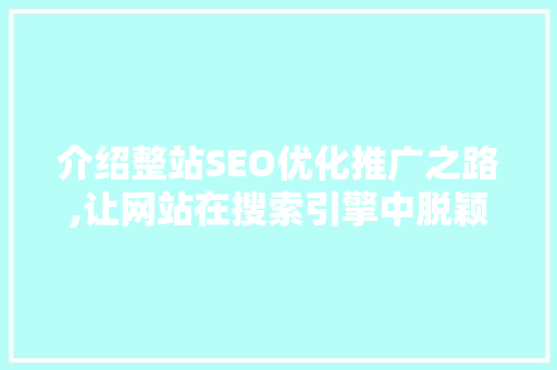 介绍整站SEO优化推广之路,让网站在搜索引擎中脱颖而出