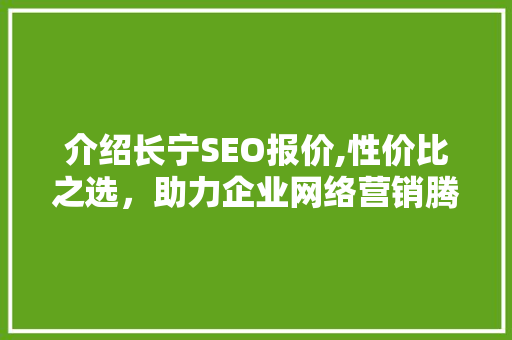 介绍长宁SEO报价,性价比之选，助力企业网络营销腾飞