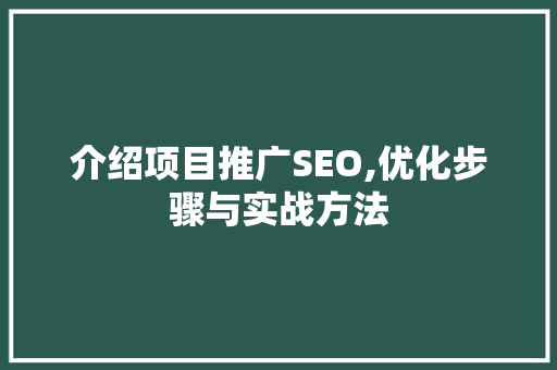 介绍项目推广SEO,优化步骤与实战方法