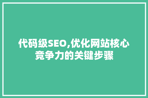 代码级SEO,优化网站核心竞争力的关键步骤