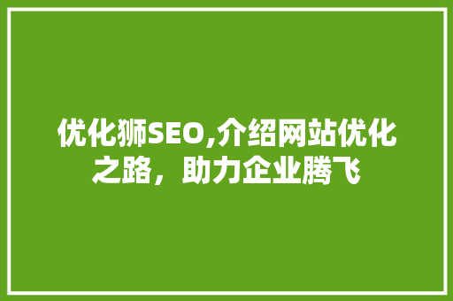 优化狮SEO,介绍网站优化之路，助力企业腾飞