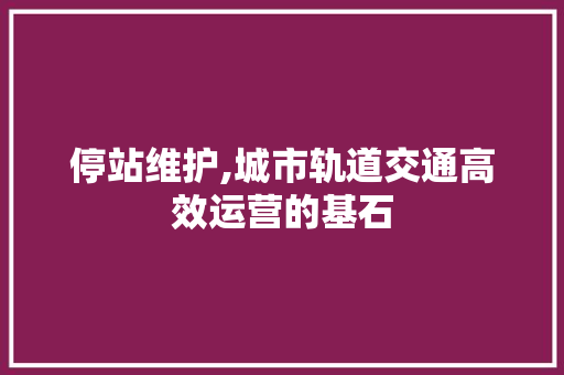 停站维护,城市轨道交通高效运营的基石