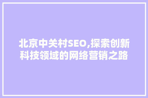 北京中关村SEO,探索创新科技领域的网络营销之路