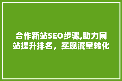 合作新站SEO步骤,助力网站提升排名，实现流量转化