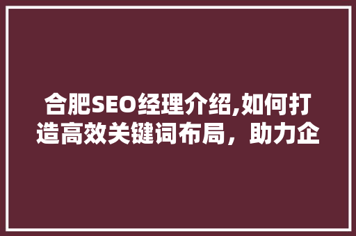 合肥SEO经理介绍,如何打造高效关键词布局，助力企业腾飞
