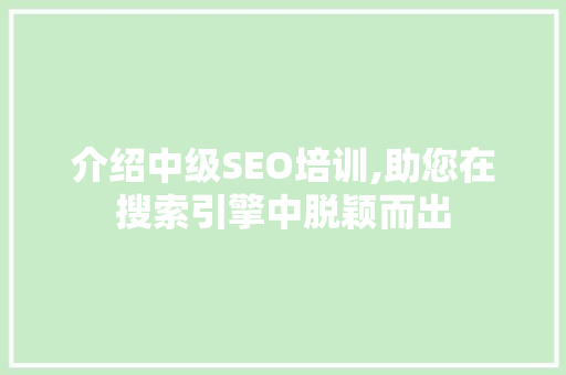 介绍中级SEO培训,助您在搜索引擎中脱颖而出
