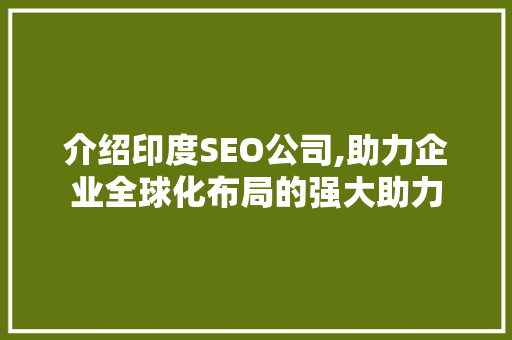 介绍印度SEO公司,助力企业全球化布局的强大助力