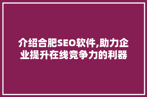 介绍合肥SEO软件,助力企业提升在线竞争力的利器