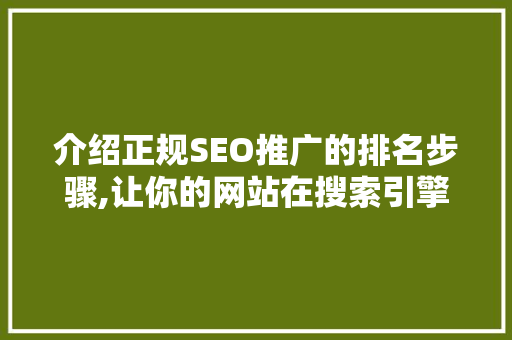 介绍正规SEO推广的排名步骤,让你的网站在搜索引擎中脱颖而出
