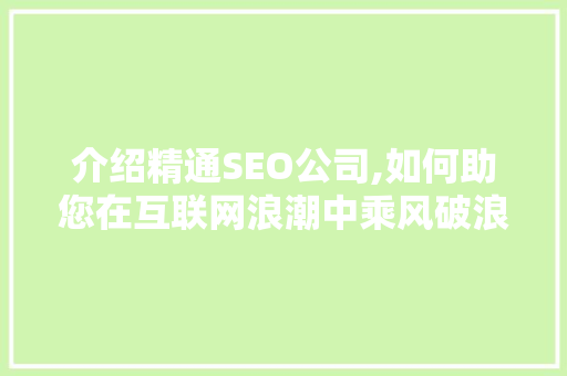介绍精通SEO公司,如何助您在互联网浪潮中乘风破浪