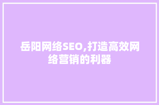 岳阳网络SEO,打造高效网络营销的利器