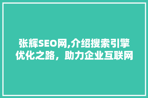 张辉SEO网,介绍搜索引擎优化之路，助力企业互联网营销腾飞