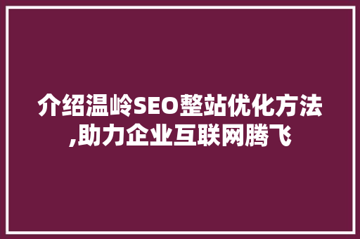 介绍温岭SEO整站优化方法,助力企业互联网腾飞