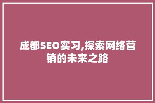 成都SEO实习,探索网络营销的未来之路