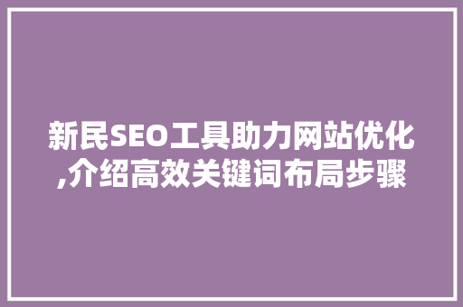 新民SEO工具助力网站优化,介绍高效关键词布局步骤