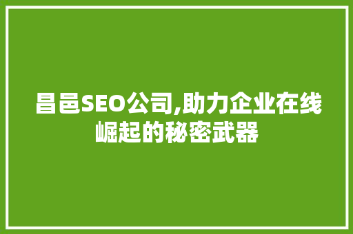 昌邑SEO公司,助力企业在线崛起的秘密武器