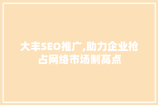 大丰SEO推广,助力企业抢占网络市场制高点