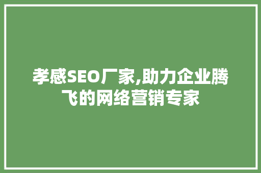 孝感SEO厂家,助力企业腾飞的网络营销专家