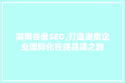 湖南谷歌SEO,打造湖南企业国际化在线品牌之路