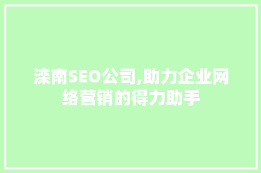 滦南SEO公司,助力企业网络营销的得力助手