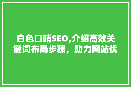 白色口哨SEO,介绍高效关键词布局步骤，助力网站优化
